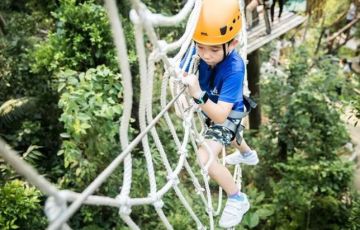 景區(qū)網(wǎng)紅類(lèi)叢林穿越、魔網(wǎng)蹦床設(shè)備項(xiàng)目競(jìng)爭(zhēng)力如何？