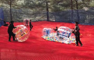 什么是叢林魔網？為什么會吸引那么多人游玩？