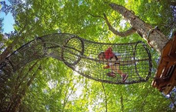 叢林穿越：超強刺激關卡，激發智慧和潛能