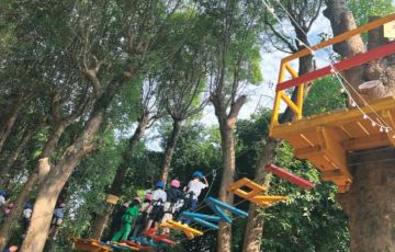 森林主題游樂園適合引入哪些游樂項(xiàng)目？