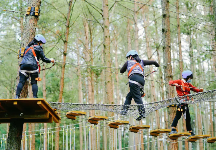 叢林穿越：來自大自然的挑戰